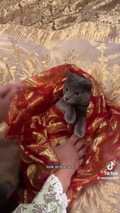 wunk is very decent actually