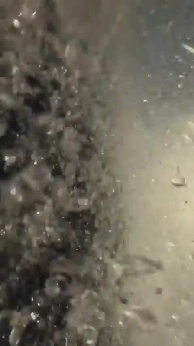 Every once in awhile it's nice to be reminded that this world still has giants.