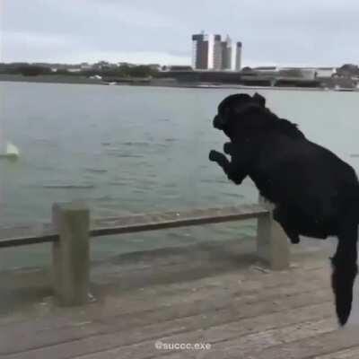 Buenos días mis lics,No se si lo subieron aquí pero esta chido el video, que tengan buen día