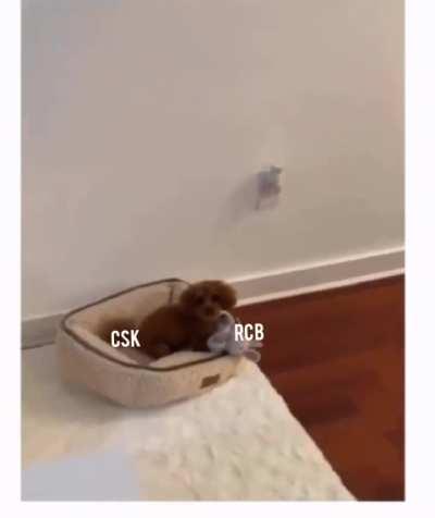 Leaked Highlights of CSK VS RCB