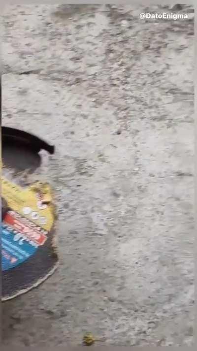 BeelcitosMemes - Video #4314