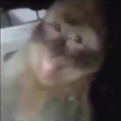 Orson fumando un verde 😳👌