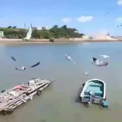 Drone surveillance footage.