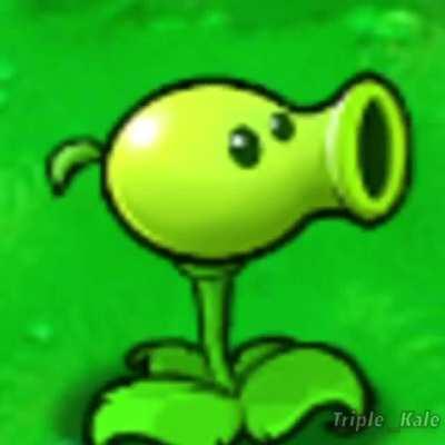 Jewishh Knee Gurds lol