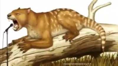 My friend sent me this today, should fit here good ;)