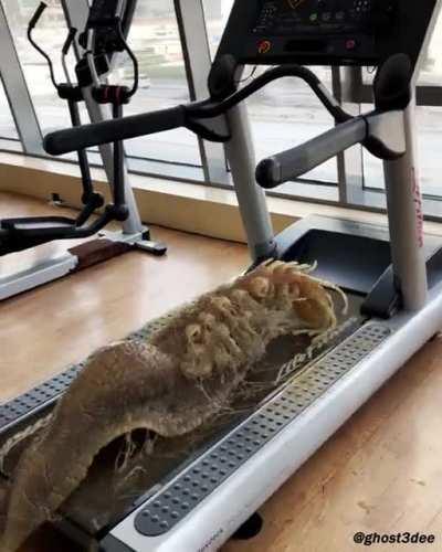 Lord Ooleetk - a Simulated Softbody Snail does cardio (Houdini FX)