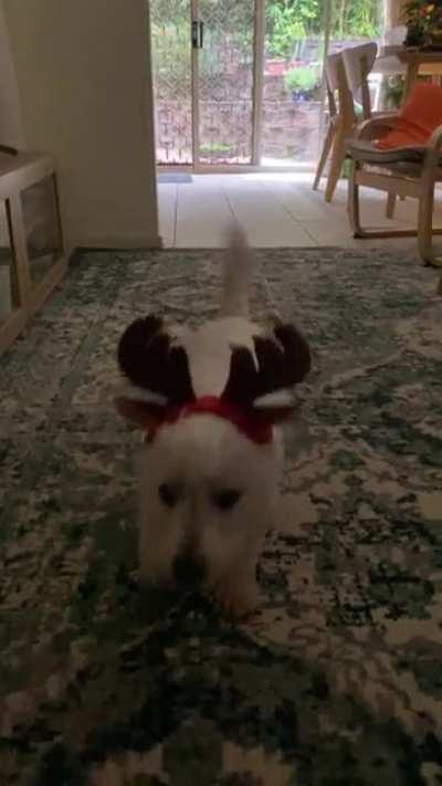 Flashback to Daisy’s outfit last Christmas