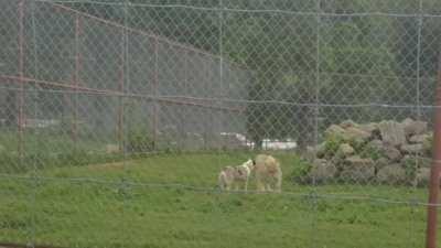 He’s batting way above his league.