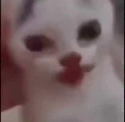 A mí me gusta la pepsi