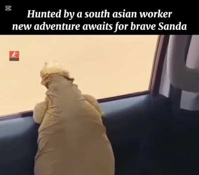 When you think you were lucky to not be born in india, 🍇 but one caught you to impress arap boss