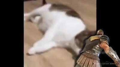 Can we cancel cent for this?