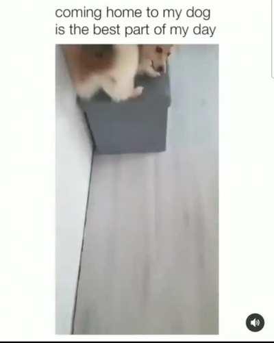 the best part of the day