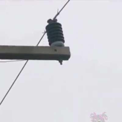 monke commit not working