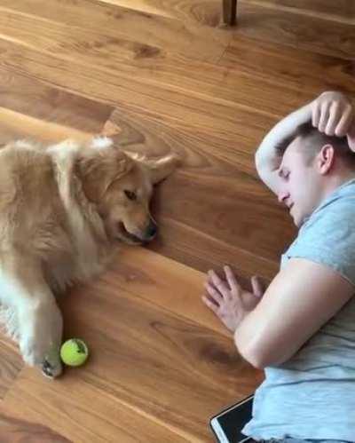 When you're lazy but still wanna play fetch