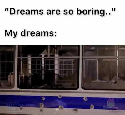 A little bit of everything.