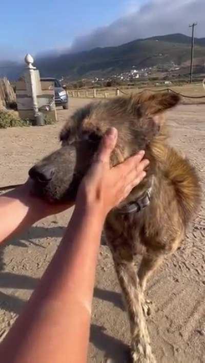 He just needed someone to love him. ð­  