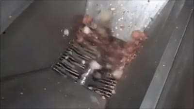 300 Million Males A Year - Warning: 0-10 in 7 seconds - It's called 