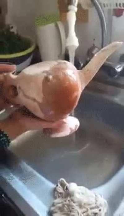 This interesting prehistoric tea-pot that was found in Iran