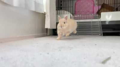 Still not sure how to binky, but doing our best!!