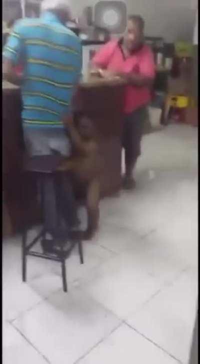 Look at that galloping monster!...