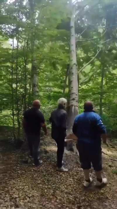 There was a logger and two onlookers