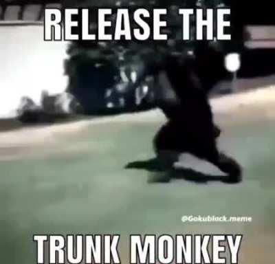 trunk monkey