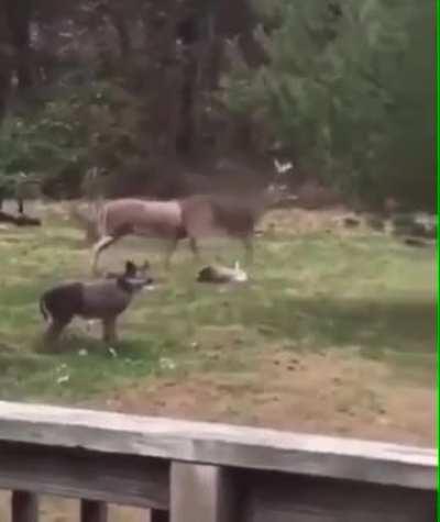 yoğun istek üzerine 