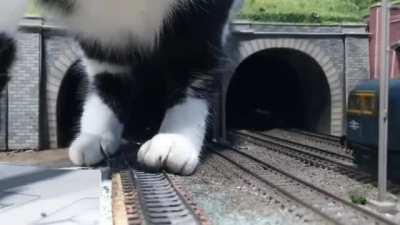 I choo-choo-choose you