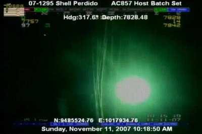 Bigfin Squid (Magnapinna) encountered at 2007