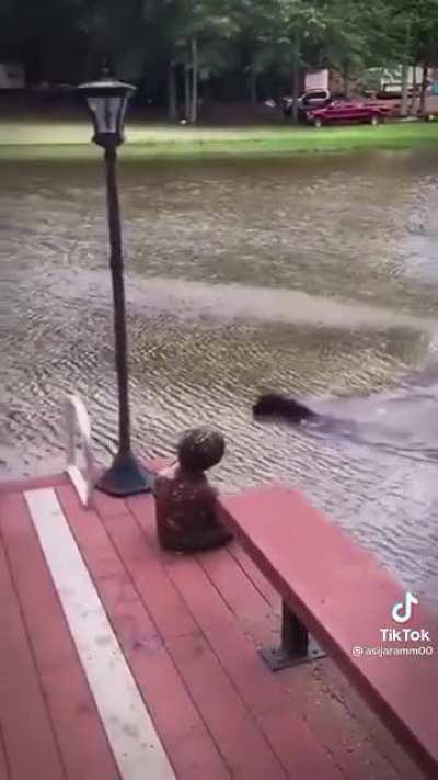 “Dad! Dad! I will save you don’t worry!”