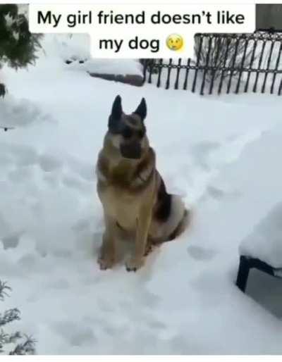 Would you do the same for your dog........ I sure hope so