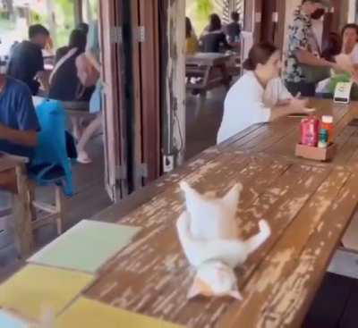 My server fell asleep on the job. Should I still leave him a tip?