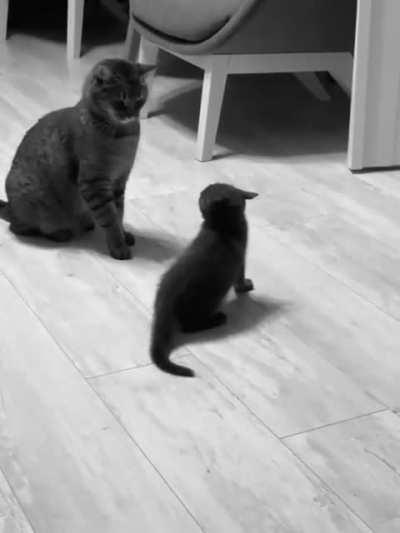 This is me showing my mom a dance I just made up