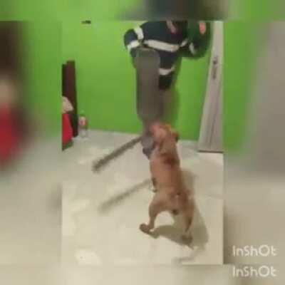 dps fala que da pra ter uma sociedade ancap. como gente? pra cenas como essa acontecer?