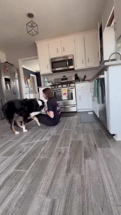 Dogs are a gift to humans!❤️

The dog, sensing that his owner is about to have a seizure, first makes his owner sit on the floor, then gets water from the cupboard, finds her medicine and gives it to her, then makes his owner lie on the floor.