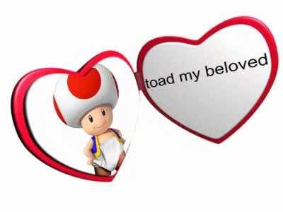 very good picture of toad