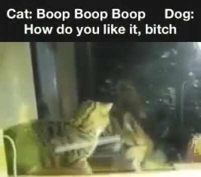 Getting slapped back