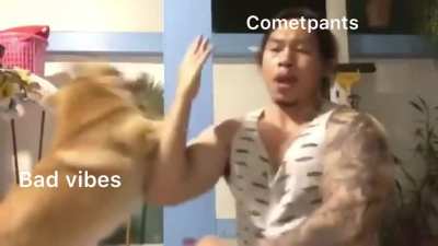 The fight of life and death