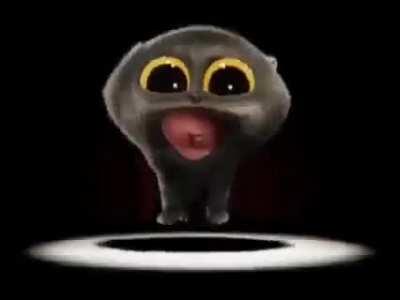 Wacky cat I found. He meow