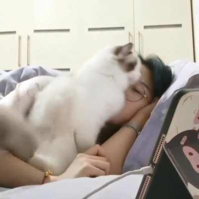 She likes to snuggle