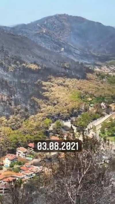 Before and after of the wildfires in Marmaris/Turkey