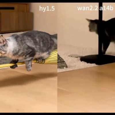 My testing of HunyuanVideo 1.5 and Wan 2.2 on I2V