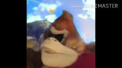 Lily choosing DK after dealing with Michaels falcon for FAR too long ;p