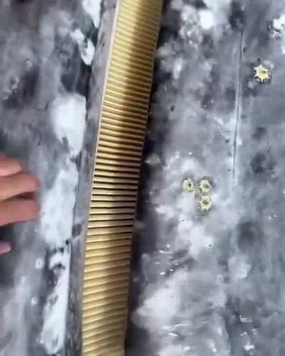 Gentle giant of the sea getting some well deserved scratches