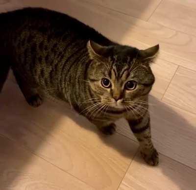 Mikhail Won’t Tolerate Late Dinner