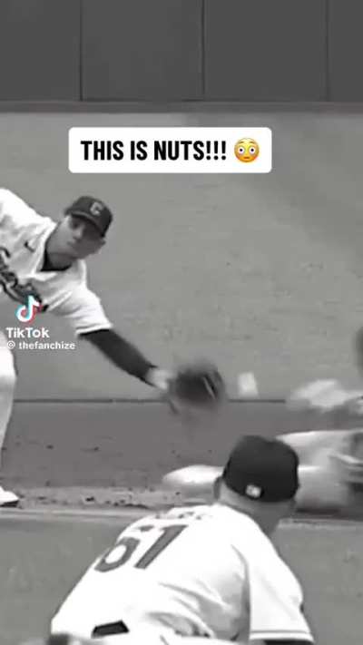 I Can Feel It Down In My Plums. A light blueish hue on them. Getting ready to take them to the farmer's market!