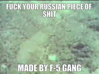 The only good military vehicle named after the tiger