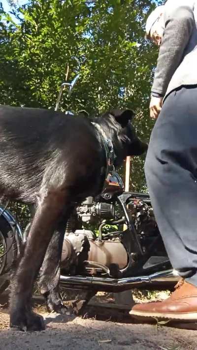 1979 Honda CB750K revive. Is this the carbs?