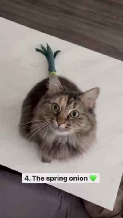 Imaginative bandaging skills