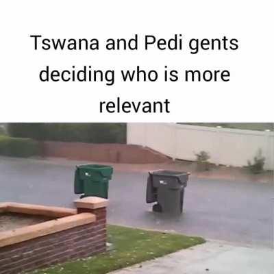 Casual South African slander